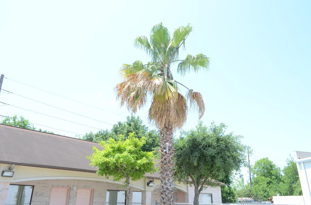 Texan Inn & Suites Louetta Luaran gambar